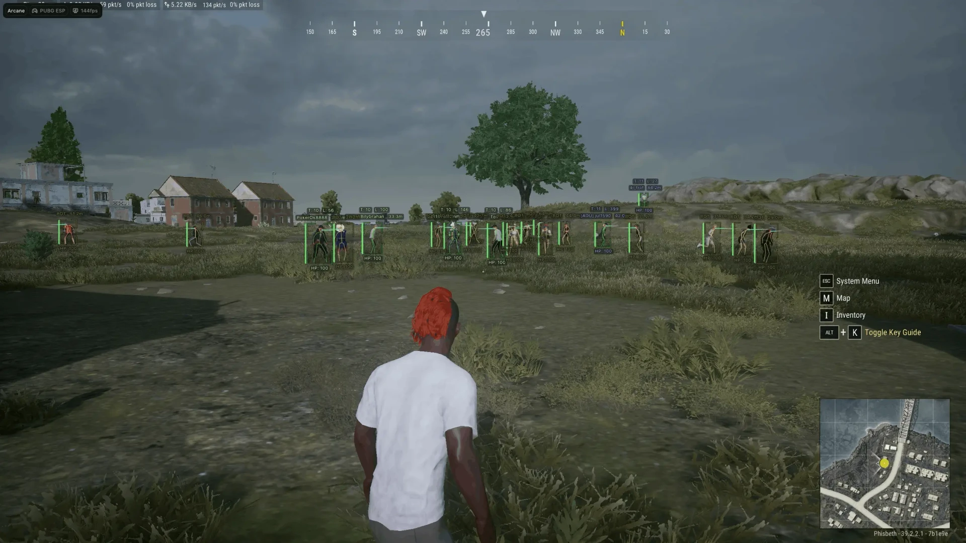 Arcane Pubg ESP